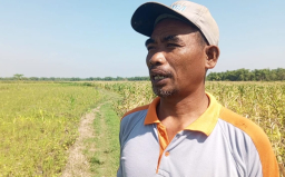 Sutiyo petani jagung di Desa Sumberagung, Kecamatan Banjarejo, Kabupaten Blora, yang gagal panen. (Foto: Tohari/Memanggil.co)