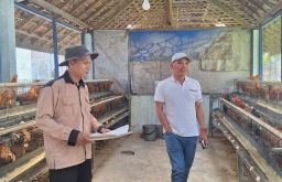Ketua DPRD Jateng Sumanto Saat Kunjungi Peternak Ayam Petelur di Kabupaten Karanganyar. (Foto: Hms/Memanggil.co)