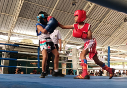 Fun Fight Boxing Perdana di Sidoarjo Diserbu 84 Atlet, Pertina Siapkan Langkah Besar Pembinaan Petinju Muda