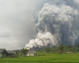 Awan Panas Semeru Meluncur 8,5 Km, BPBD Bunyi Sirine Bahaya