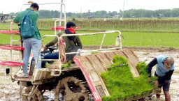 Banyak Bantuan dan Cuaca Mendukung, Indeks Pertanaman Padi Rembang Tertinggi se-Jawa Tengah