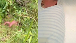 Usai Damai Kasus Buang Bayi Di Desa Semanggi Blora, Ini Kata Kasi Propam Polres Blora