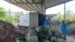 Kudus Asik Jemput Sampah Setiap Hari, SPPG Glantengan Panen Pupuk Tanpa Batas