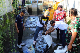 Cegah Banjir, Pemkab Kudus Bersihkan Gorong-gorong
