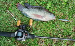 Buat Para Cowok Wajib Tahu! Ini 3 Waduk di Blora yang Asyik Buat Mancing