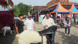 Bupati Harno: Kontes Kambing Jadi Motor Penggerak Ekonomi Peternak Rembang