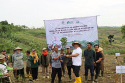Menanam Harapan di Ngrapah: Kolaborasi Hijau KTH Mekar Jaya Grobogan untuk Hutan Lestari dan Masyarakat Mandiri