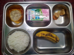 Ironi Guru Honorer vs Petugas Makan Bergizi Gratis: Antara Isi Perut dan Isi Kepala