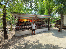 Dari Kandang ke Dapur, GAYATRI Dorong Kemandirian Pangan Warga Bojonegoro