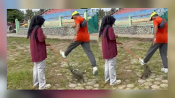 Bikin Hati Pilu, Video Kekerasan terhadap Kucing hingga Meninggal di Lapangan Kridosono Blora Viral