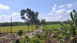 Tak Dapat Bantuan Pemkab Blora, Desa Plosorejo Anggarkan Bedah Rumah dari Dana Desa