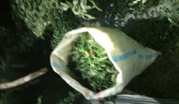 Rp740 Ribu dan Ancaman Lima Tahun: Satu Karung Cabai di Jepon Blora Menantang Sistem Hukum