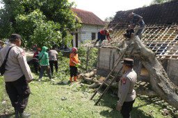 Puting Beliung Menyapu Tegalrejo: Solidaritas Bangkit Jadi Penyangga Tuban