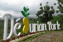 Fakta Tersembunyi Wonosalam Jombang, Bukan Sekadar Kampung Durian