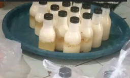 Protes MBG Ramadan Meluas, Fraksi PDI Perjuangan Tuban Bentuk Tim Pengawas