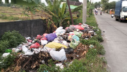 DLH Mojokerto Turun Tangan, Sampah Liar di Pungging Segera Dibersihkan