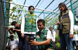Sulap Kawasan Transmisi Jadi Kebun Anggur, PLN UIT JBM Masuk Nominasi TOP CSR Award 2026