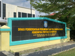 305 Kasus Kekerasan, Dinas PPA Gorontalo Dikritik Terlalu Seremonial