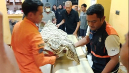 Main Petak Umpet, Pelajar SMP Tewas Tersengat Listrik