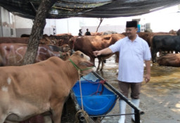 Antrean Kurban Meningkat di Hari-Hari Terakhir Operasional RPH Pegirian