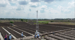 Terangin, Inovasi Energi Angin dan Surya Solusi Atasi Hama Pemicu Gagal Panen