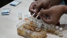 Peneliti ITS Kembangkan Alat Deteksi Minyak Babi