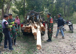 Hutan Tuban Kembali Jadi Sasaran Pembalakan Liar