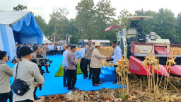 Prabowo Puji Kinerja Polri di Panen Raya Jagung Tuban: Bukti Nyata Ketahanan Pangan Nasional