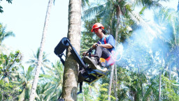 Mocits, Alat Panjat Kelapa Ciptaan ITS Bantu Petani Panen Lebih Aman dan Cepat