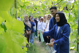 Ciptaan Mahasiswa ITS Ini Buat Pestisida Lebih Melekat di Tanaman dan Ramah Lingkungan