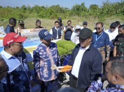 Kementan dan ITS Jalin Kerja Sama, Borong Inovasi Alsintan dan Benih Jagung Unggulan