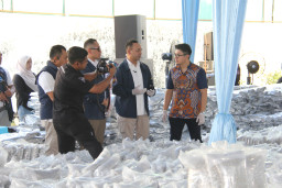 Sindikat Narkoba Internasional Gunakan Dokumen Bea Cukai Resmi, BNN Sita 3,37 Ton Cannabis Buds di Gresik
