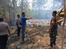 Rumah di Nglinduk Grobogan Terbakar, Kabel Listrik Usang Diduga Jadi Pemicu