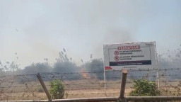Lahan Kilang Minyak Tuban Kembali Terbakar, Penyebab Kebakaran Masih Jadi Teka-teki