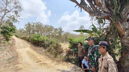Bertahun-tahun Jalan Berbatu, TMMD Buka Akses Baru Warga Ngajaran Rembang Menuju Blora