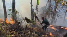 Karhutla Dekat Gerbang Tol Cimalaka Sumedang, Prajurit Yonif 301/Pks Turun Padamkan Api