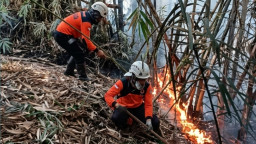 Hutan Bambu 2 Hektare di Sumedang Selatan Terbakar, Medan Curam Bikin Mobil Damkar Tak Bisa Masuk