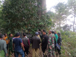 Kades Cijambu Sumedang Ditemukan Meninggal di Kebun Perhutani 
