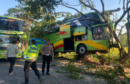 Minum Kopi Sambil Nyetir, Bus Gunung Harta Oleng Tabrak Pohon hingga Ringsek di Tuban