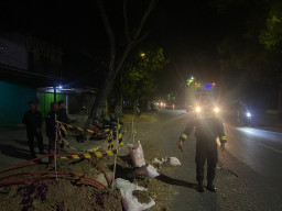 4 Fakta Galian Fiber Optik di Blora Minta Tumbal, dari Pekerja Ditabrak Mobil Box hingga Pengendara Nyungsep