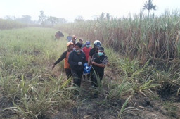 Kebakaran 5 Hektare Lahan Tebu di Malang Telan Korban Jiwa