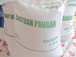 Beras Bulog Bantuan Pangan di Tuban Diduga Dioplos, Berbau Apek dan Kekuningan