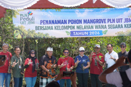 Peduli Ekosistem Lingkungan, PLN UIT JBM Salurkan 16.500 Mangrove dan 60 Rumpun Berjarak di Bali