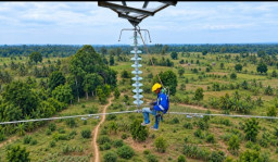 Dukung Swasembada Energi, PLN Akselerasi Transisi Energi Bersih dan Keandalan Pasokan