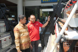 Transformasi Peternakan, Mahasiswa ITS Sulap Kandang Tradisional Jadi Smart Farming