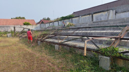 Stadion Krida Rembang Direhab Akhir Tahun, Rp800 Juta Disiapkan untuk Perbaikan dan Asrama Atlet