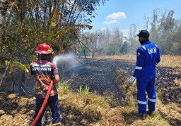 Rumah hingga Lahan Jati Jadi Sasaran Api, Ini Peta Objek Kebakaran di Blora