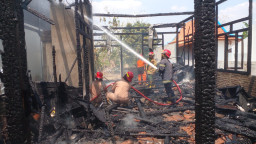 Damkar Blora Kerahkan 13 Personel dan Tiga Armada Tangani Kebakaran Rumah di Jepon