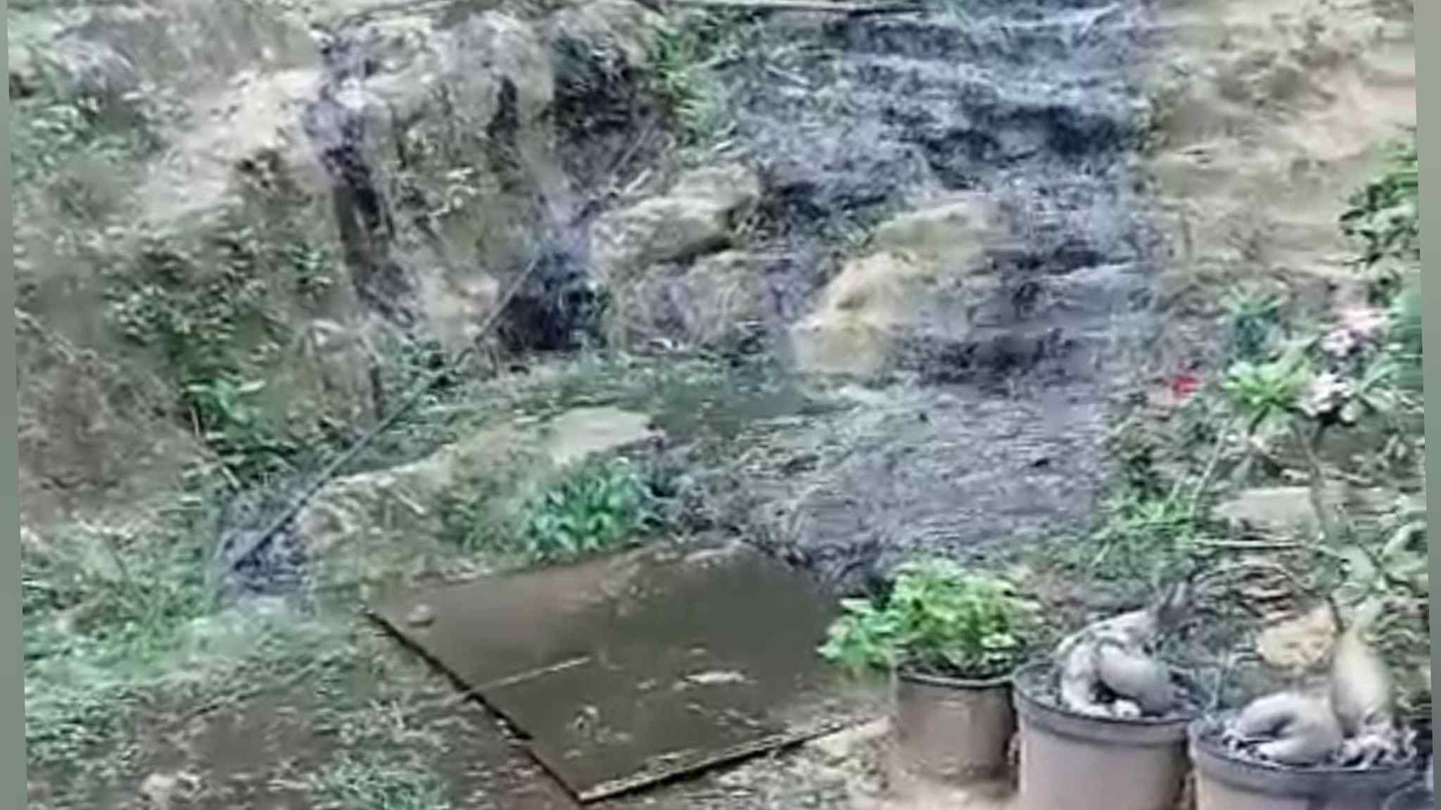 Perseteruan Tetangga di Tuban Gegara Kotoran Tinja Berakhir Damai