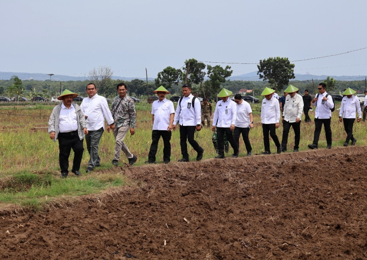Bupati Blora Ajak Dua Menteri Panen Cabai di Desa Bangsri Jepon